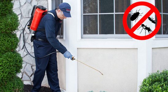Adapazarı Hamam Böceği İlaçlama böcek ilaçlama ve haşere kontrolü — ilaclama-tr.com